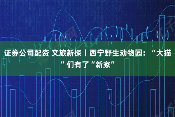 证券公司配资 文旅新探丨西宁野生动物园：“大猫”们有了“新家”